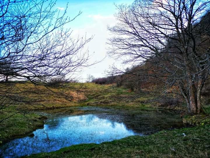 B&B Celeste Bedonia Zewnętrze zdjęcie